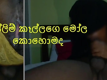 Thai breezy Drill rocks firm in HD pornography flick with Sri Lankan honey's fat bum and globes