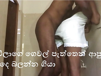 Big Cock